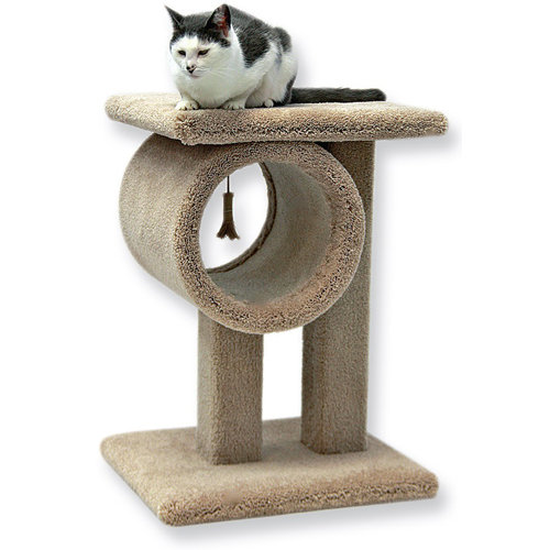Archie & Oscar™ 24" Hammitt Kitty Cat Condo & Reviews Wayfair